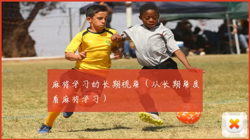 麻将学习的长期视角（从长期角度看麻将学习）