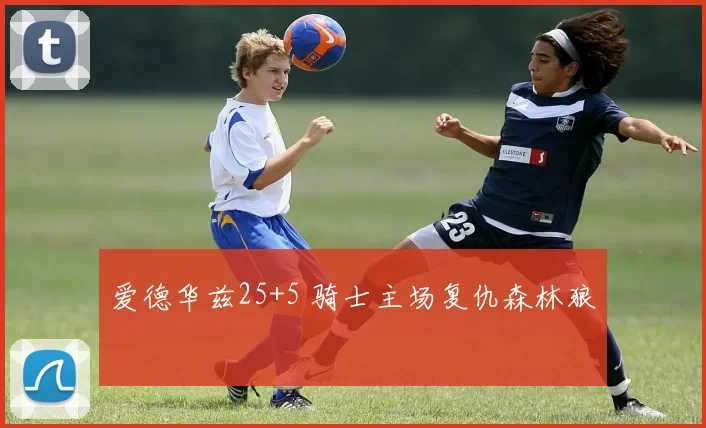 爱德华兹25+5 骑士主场复仇森林狼