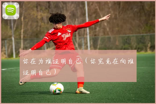 你在为谁证明自己（你究竟在向谁证明自己）