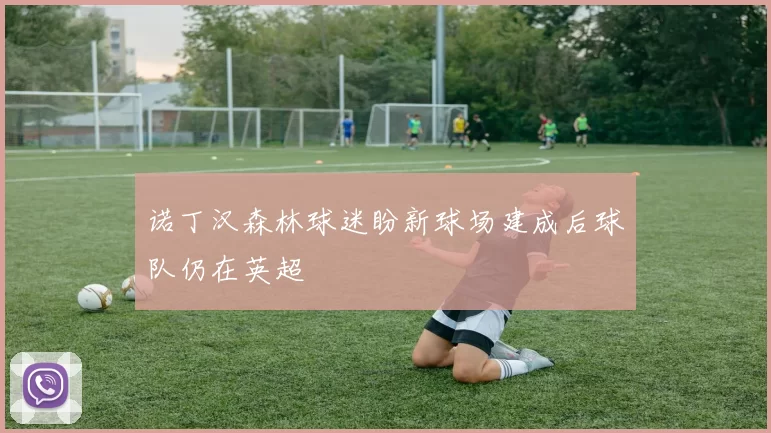 诺丁汉森林球迷盼新球场建成后球队仍在英超