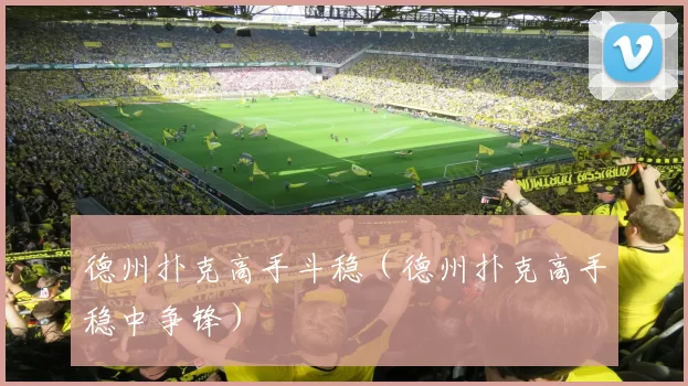 德州扑克高手斗稳（德州扑克高手稳中争锋）