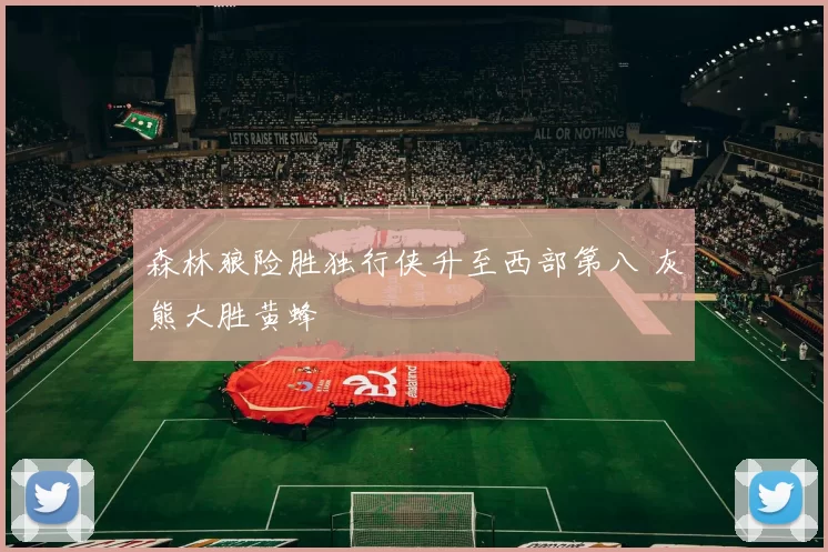 森林狼险胜独行侠升至西部第八 灰熊大胜黄蜂