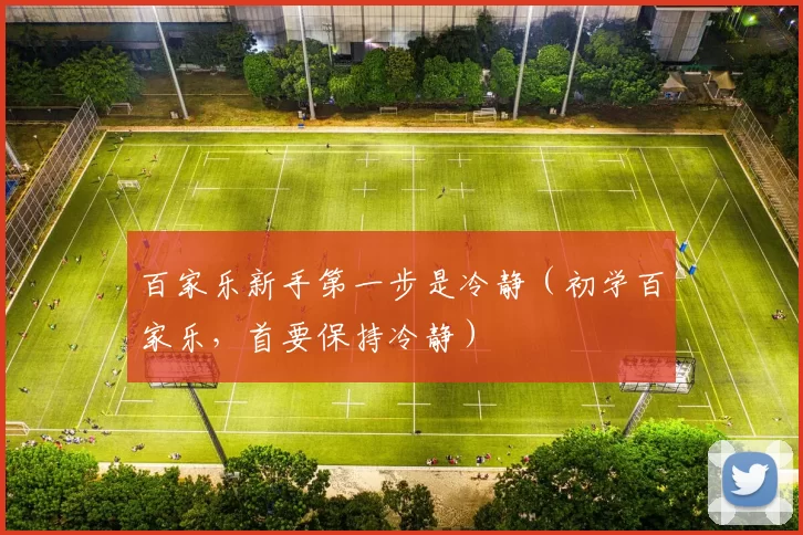 百家乐新手第一步是冷静（初学百家乐，首要保持冷静）
