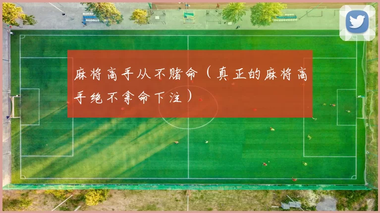 麻将高手从不赌命（真正的麻将高手绝不拿命下注）