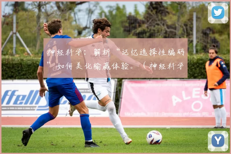 神经科学：解析“记忆选择性编码”如何美化输赢体验。（神经科学视角：解析“记忆选择性编码”如何塑造我们对胜负的感受）