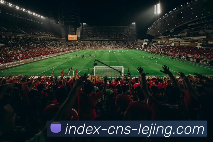 乐竞体育平台生态图